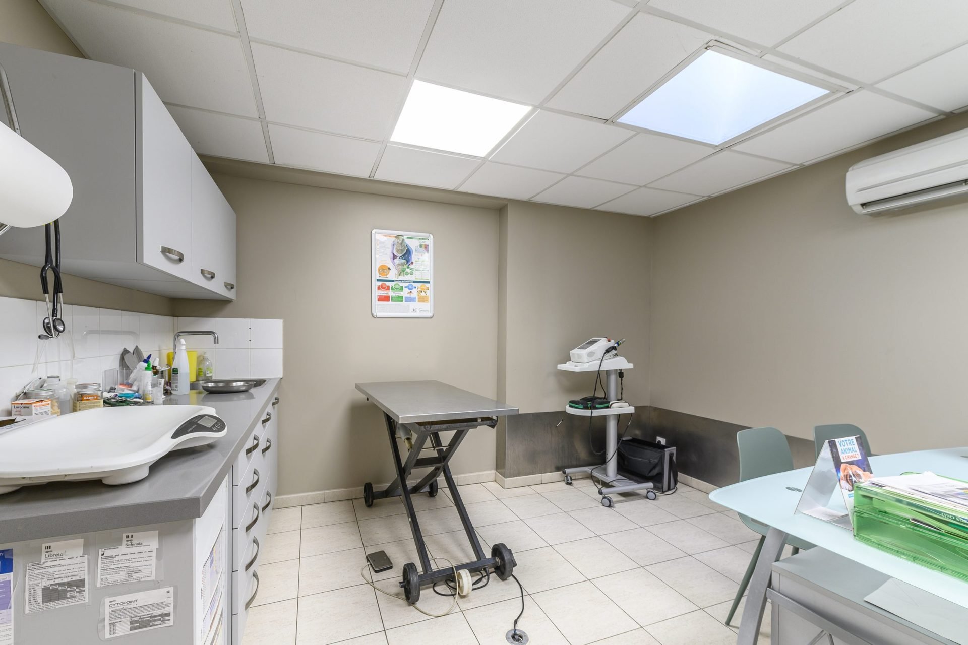 cliniqueveterinairedesvoconces vaisonlaromaine 4