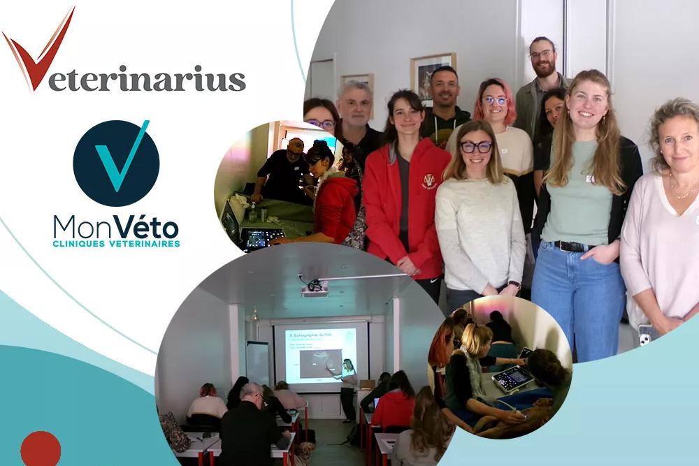 mon veto recrutement veterinaire asv en france formation header
